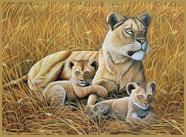African Lioness and Cubs